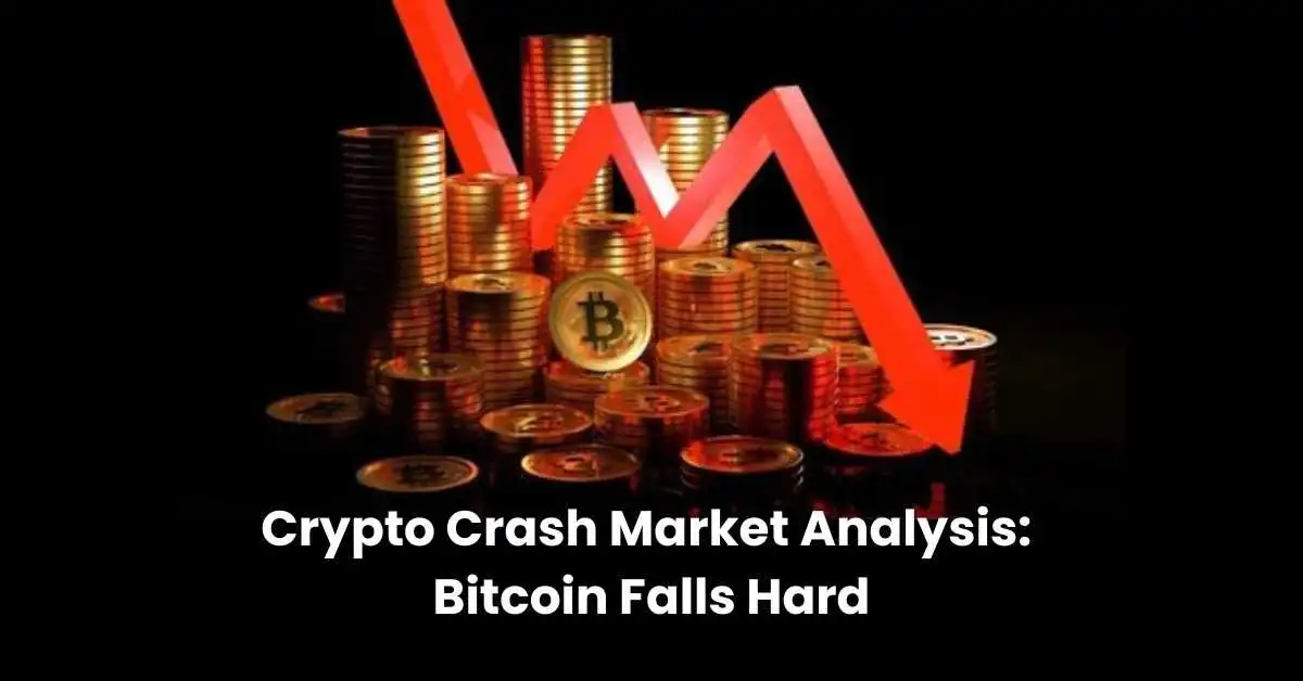 crypto crash market analysis